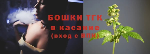 крисы Зерноград
