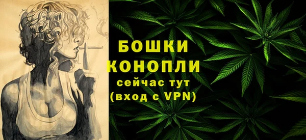 дживик Зеленокумск