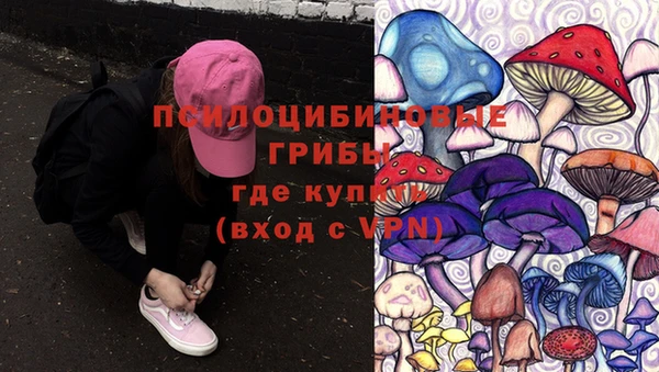 дживик Зеленокумск