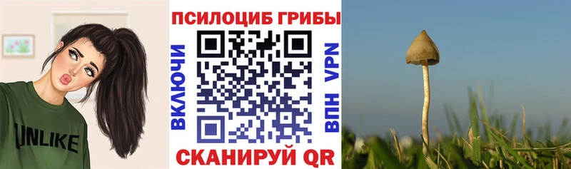 Галлюциногенные грибы Cubensis  Купить закладки  Нягань 